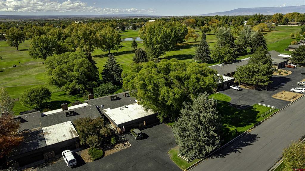 1119 Phillips Court Montrose CO 81401