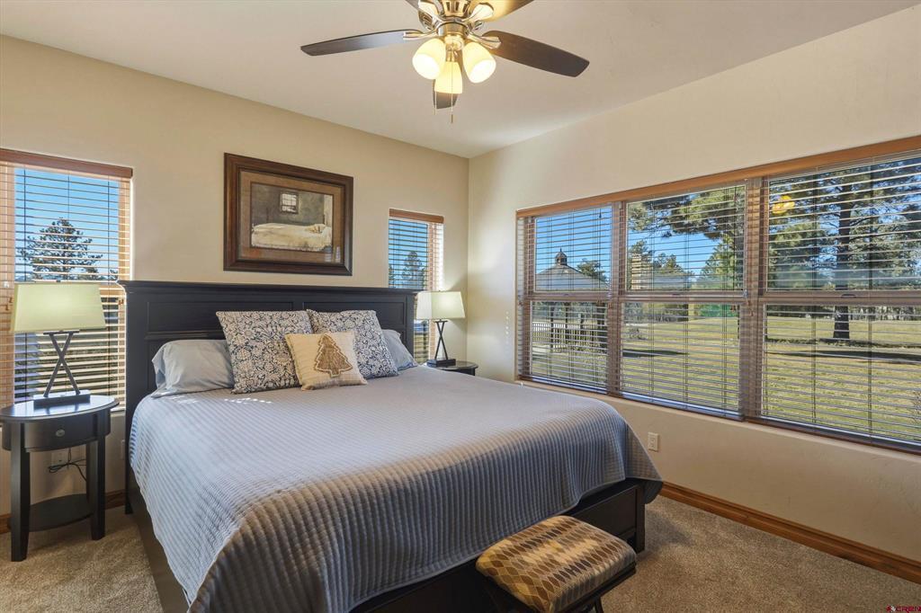 109 Ace Court Pagosa Springs CO 81147