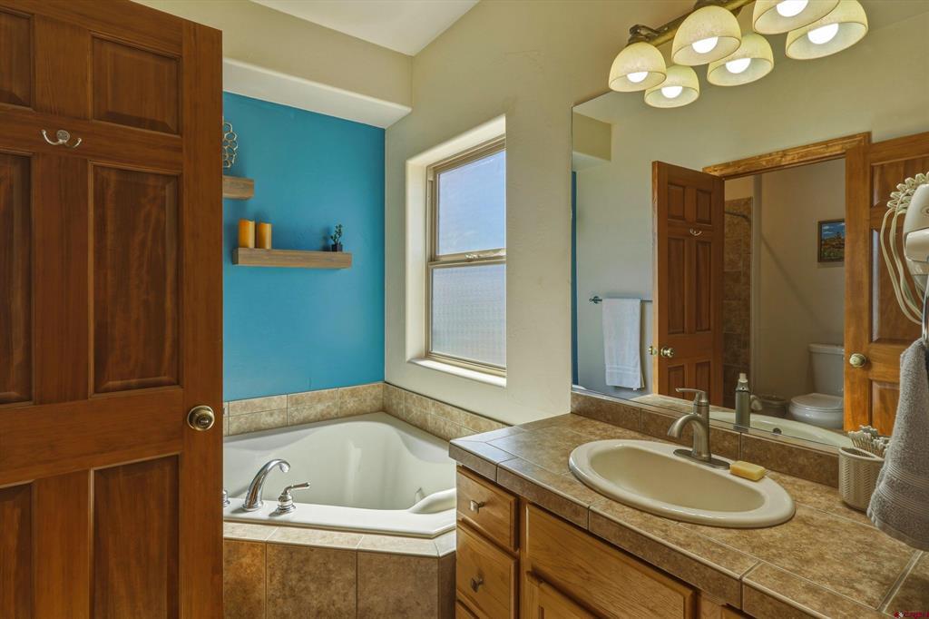 109 Ace Court Pagosa Springs CO 81147