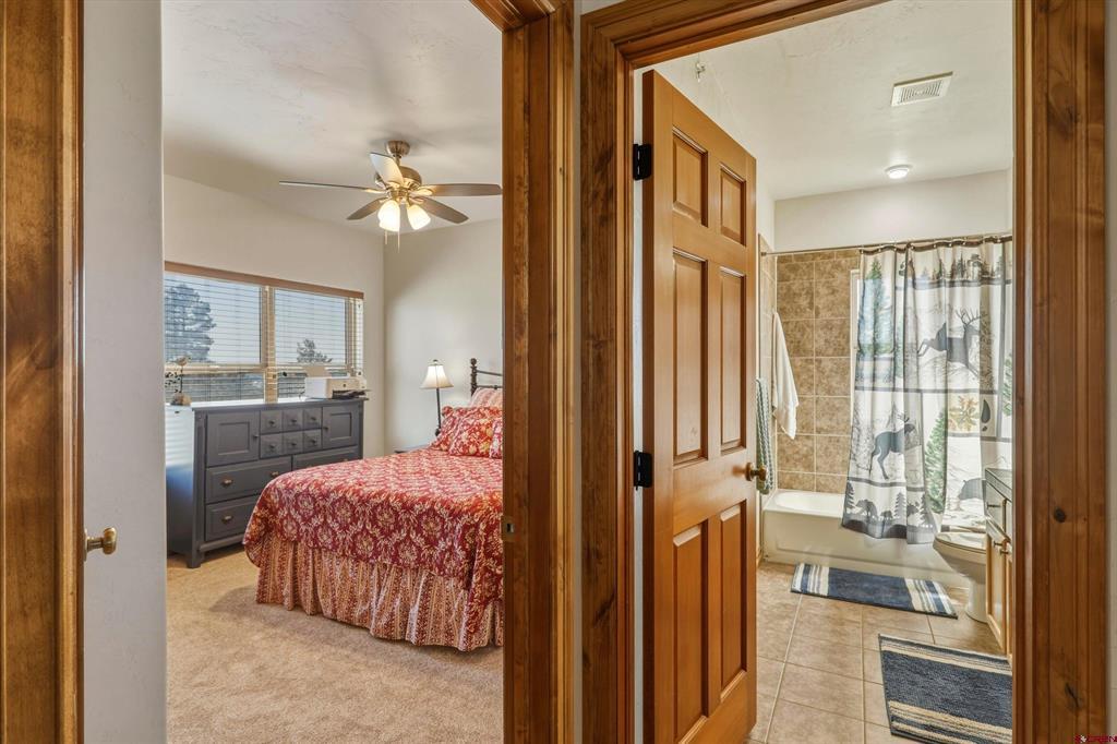 109 Ace Court Pagosa Springs CO 81147