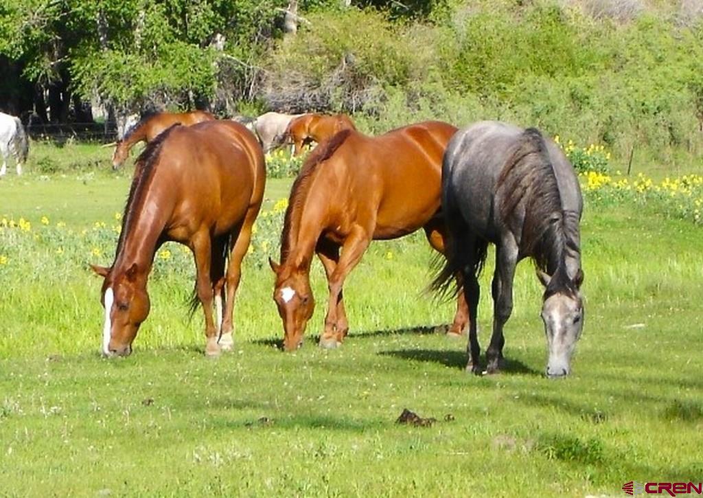 4690 N Co Road 5 W Monte Vista CO 81144