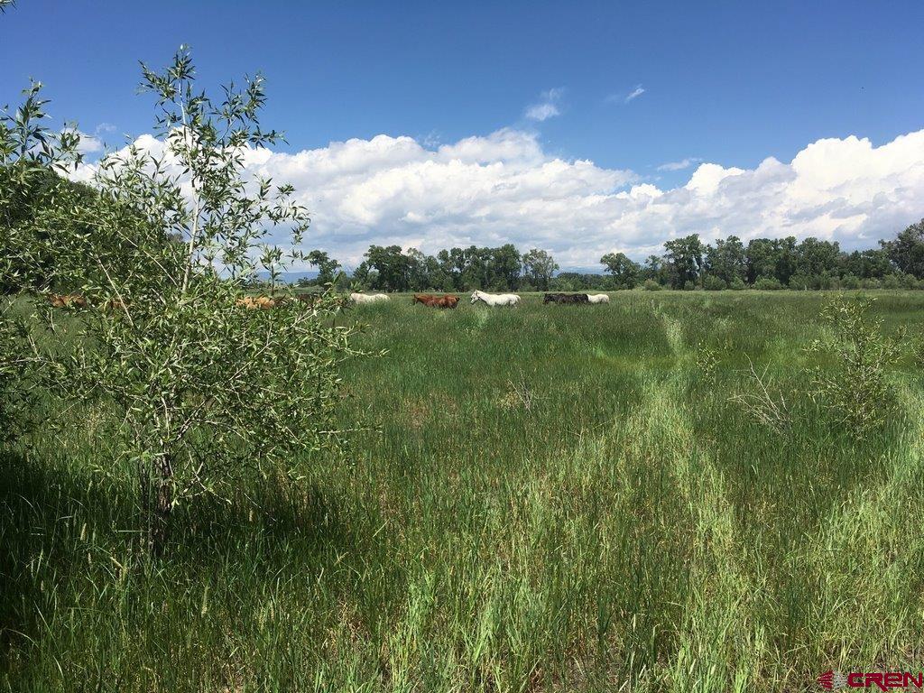 4690 N Co Road 5 W Monte Vista CO 81144