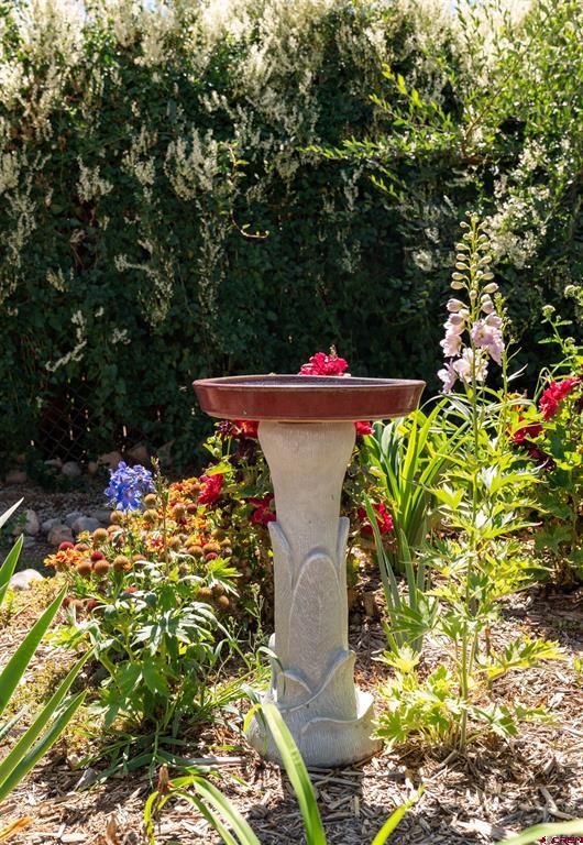 37 Bronk Street Monte Vista CO 81144