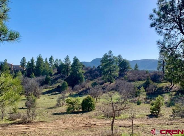 777 Buttress Avenue Pagosa Springs CO 81147