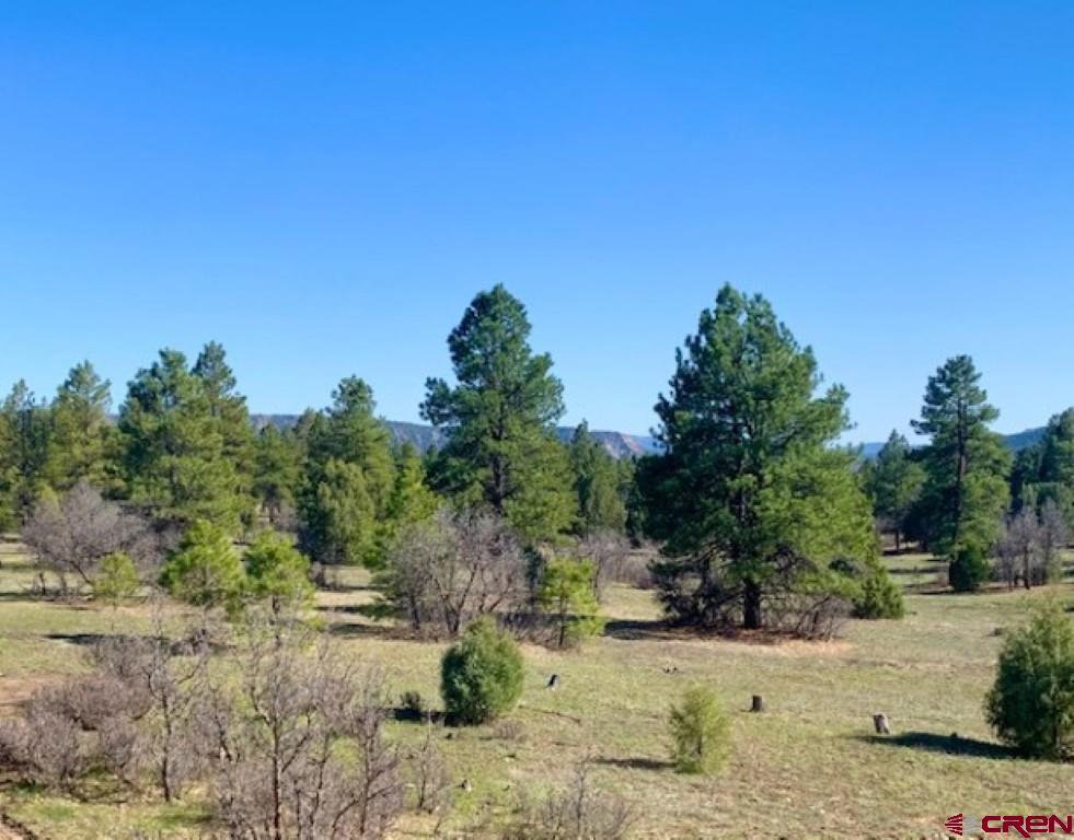 777 Buttress Avenue Pagosa Springs CO 81147