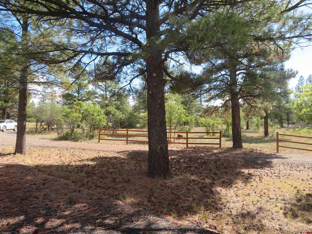 777 Buttress Avenue Pagosa Springs CO 81147