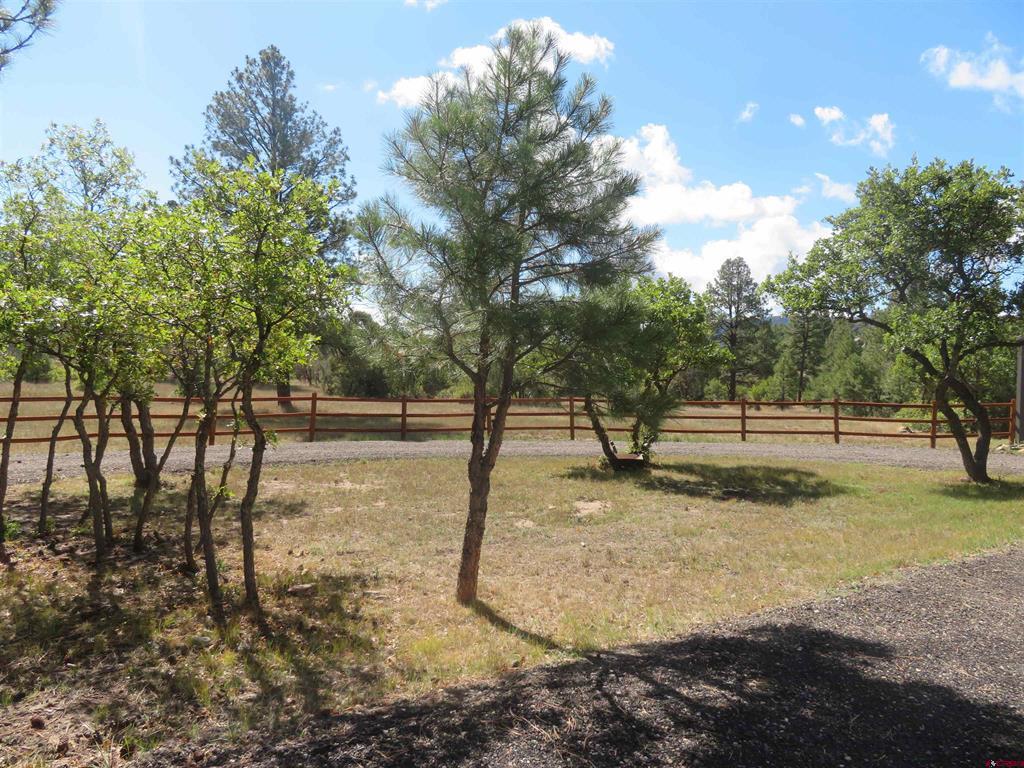 777 Buttress Avenue Pagosa Springs CO 81147