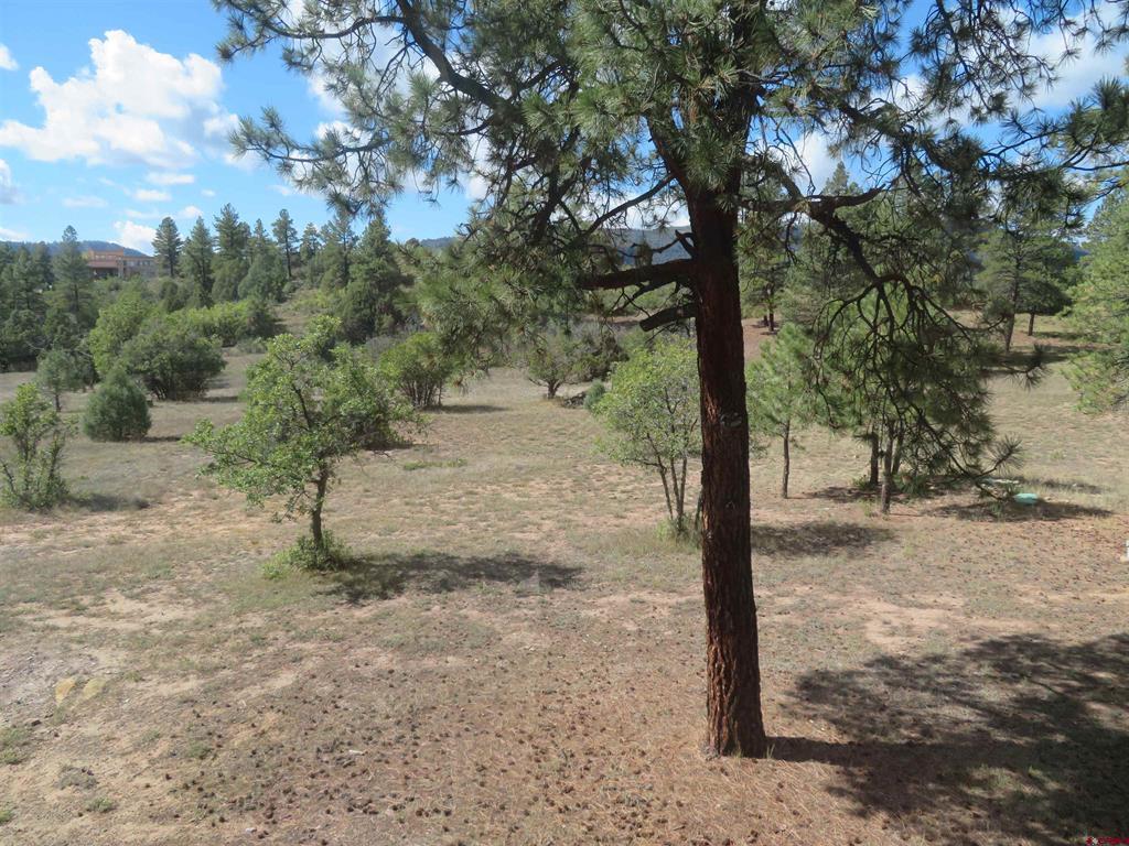 777 Buttress Avenue Pagosa Springs CO 81147