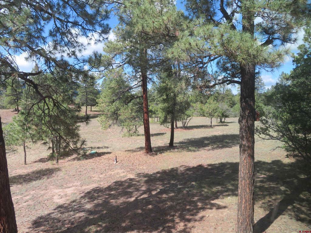 777 Buttress Avenue Pagosa Springs CO 81147