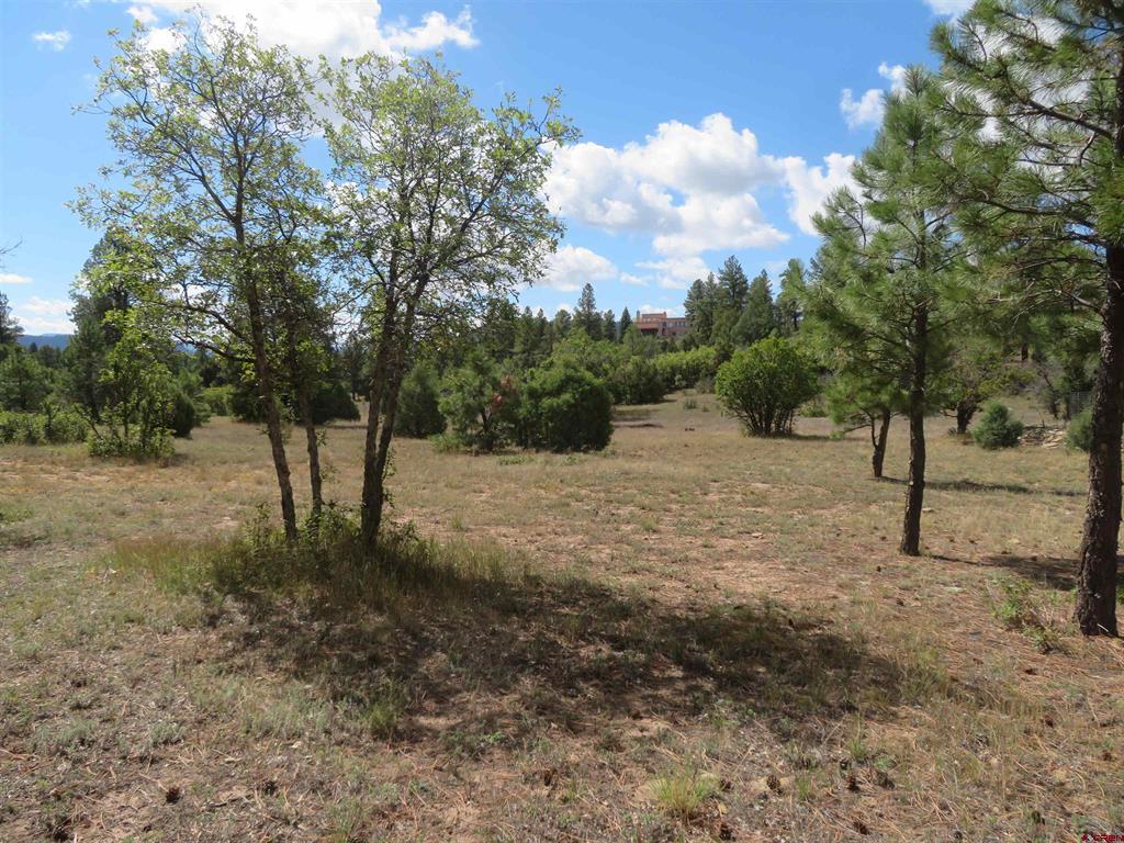 777 Buttress Avenue Pagosa Springs CO 81147