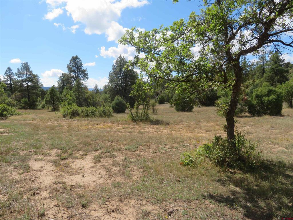 777 Buttress Avenue Pagosa Springs CO 81147