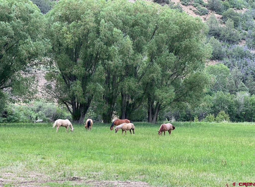 3070 County Road 391 Chromo CO 81147