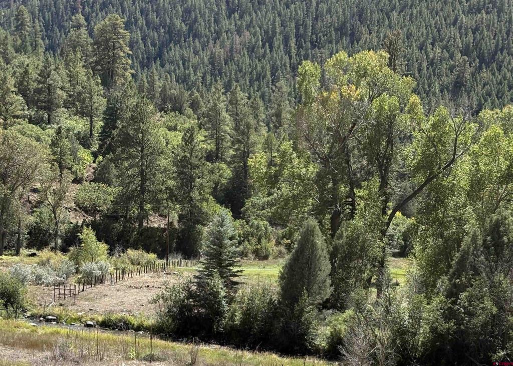 3070 County Road 391 Chromo CO 81147