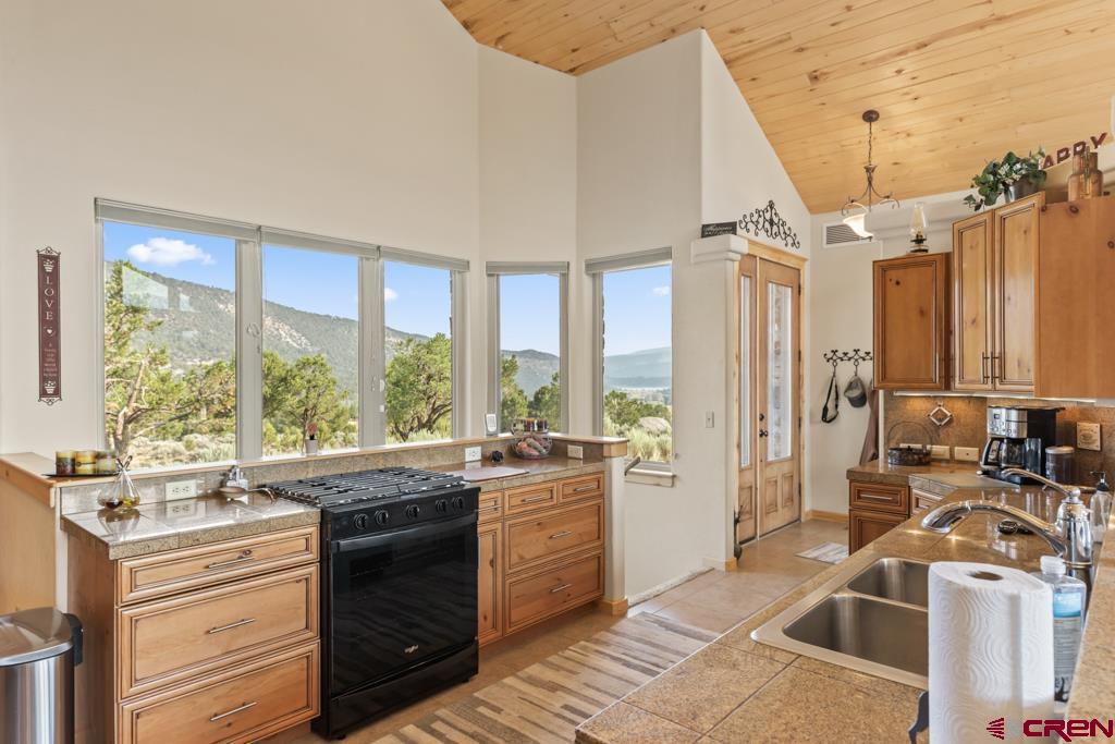 236 Quarter Horse Lane Ridgway CO 81432