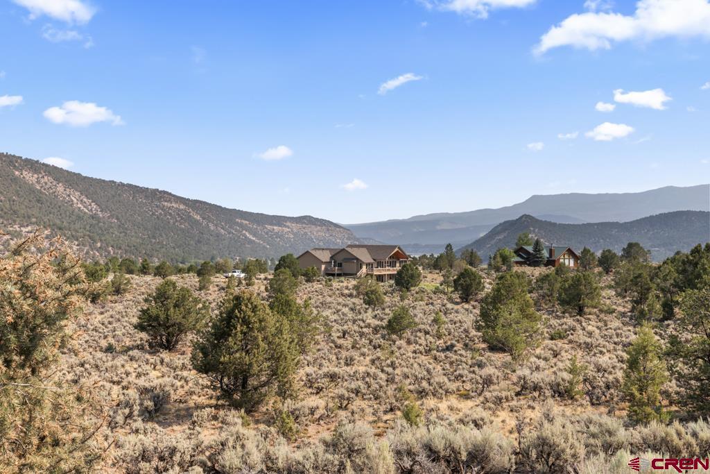 236 Quarter Horse Lane Ridgway CO 81432