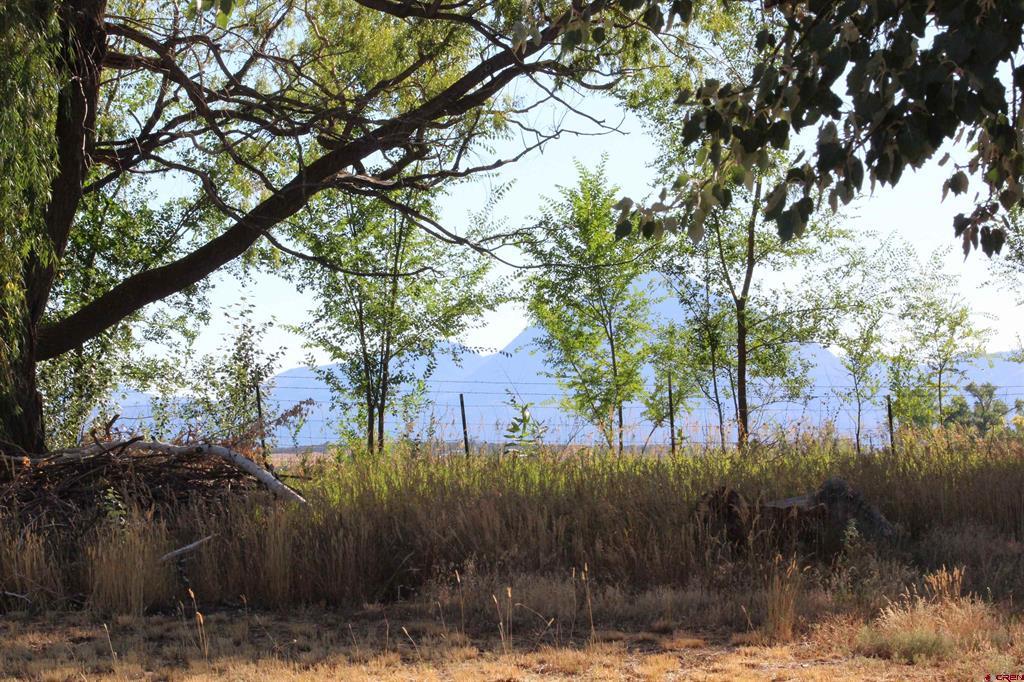 23892 Road M Cortez CO 81321