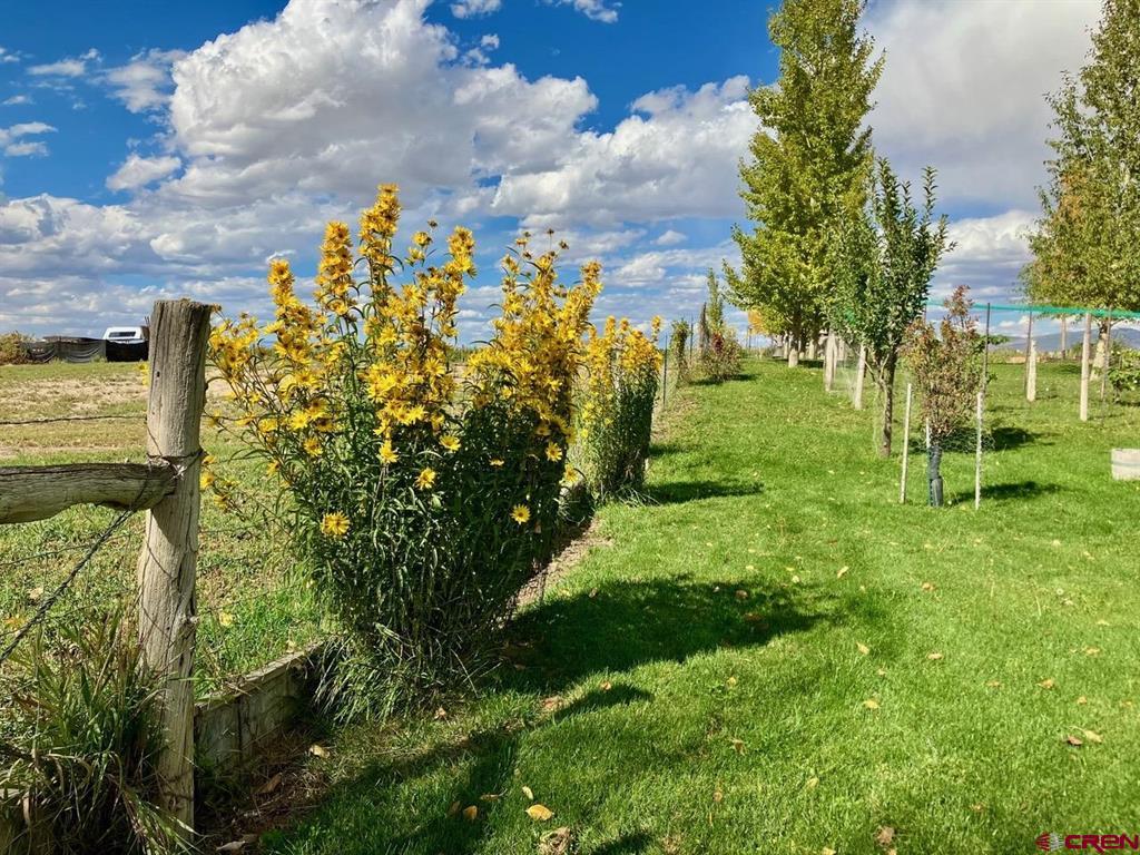 2745 Miami Road Montrose CO 81401