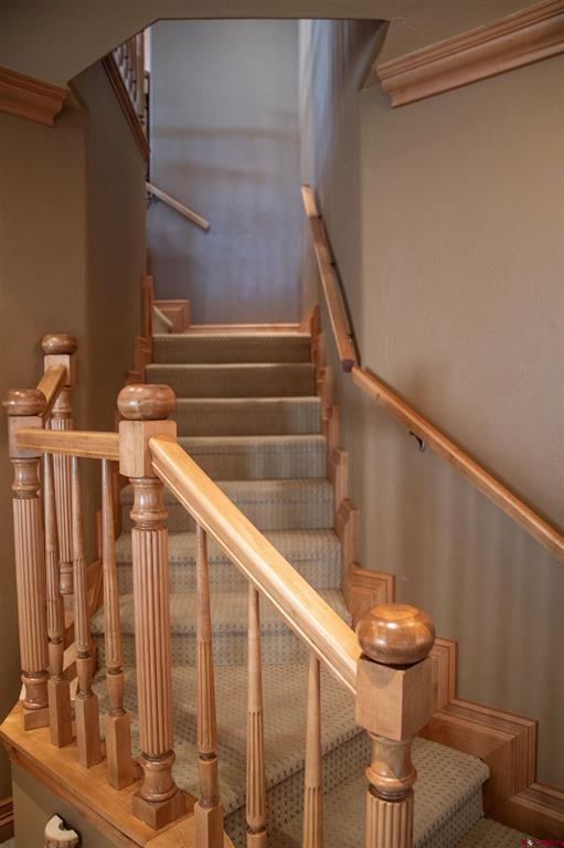 545 Timberline Trail South Fork CO 81154