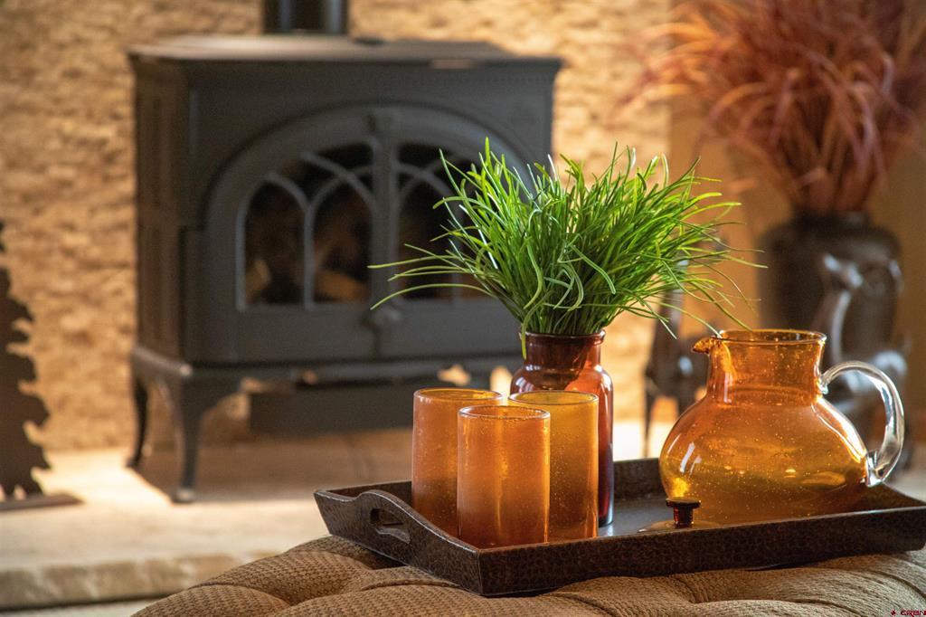 545 Timberline Trail South Fork CO 81154