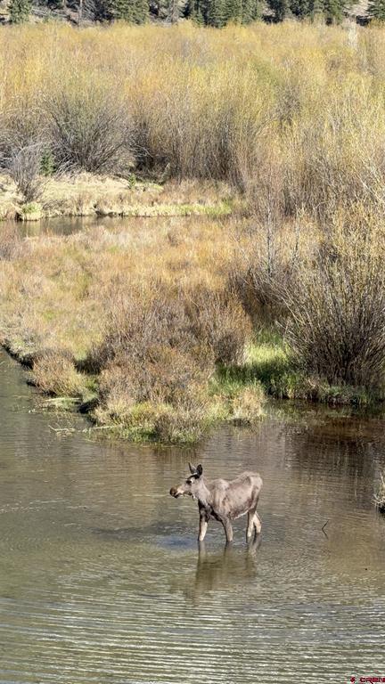 650 Hinsdale County Road 33 Lake City CO 81235