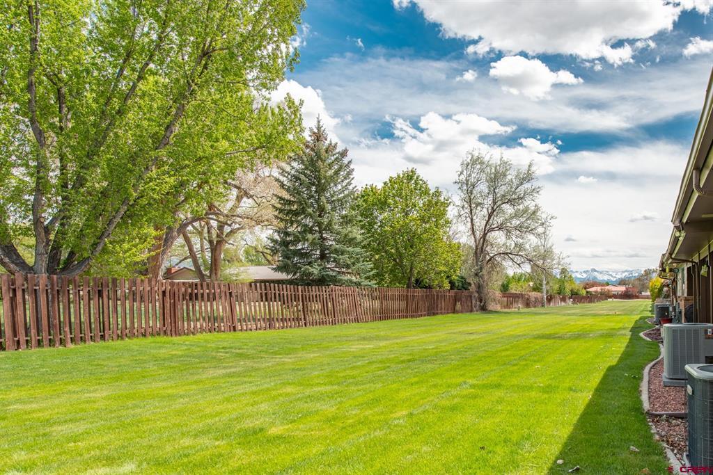 1035 Margo Court Montrose CO 81401