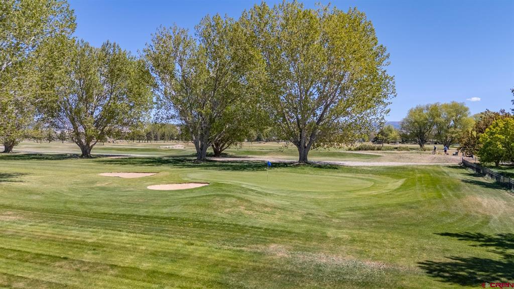 1035 Margo Court Montrose CO 81401