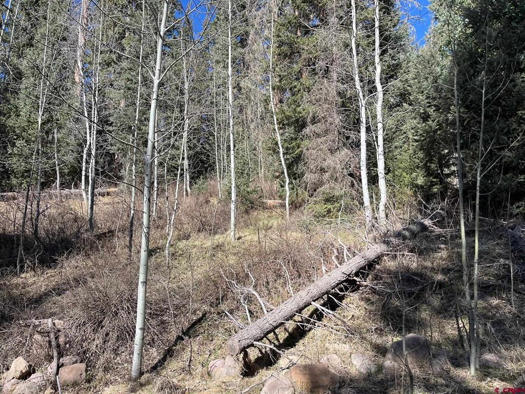 114 & 116 Meadowbrook Park Creede CO 81130