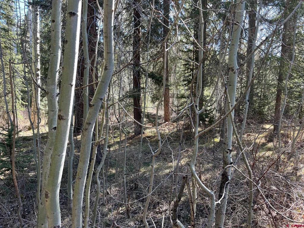 114 & 116 Meadowbrook Park Creede CO 81130