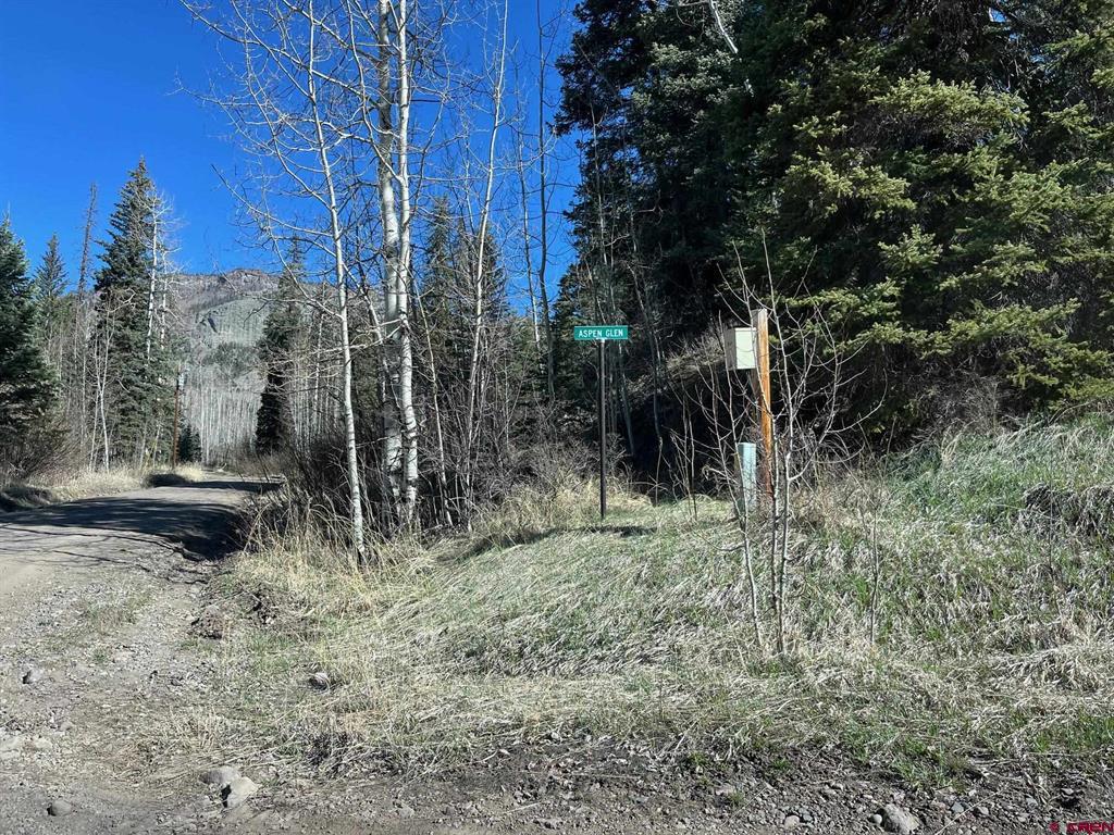 114 & 116 Meadowbrook Park Creede CO 81130