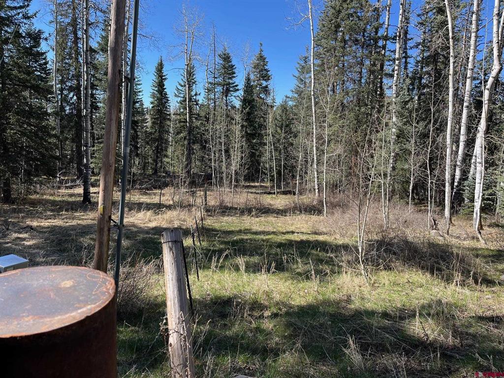 114 & 116 Meadowbrook Park Creede CO 81130