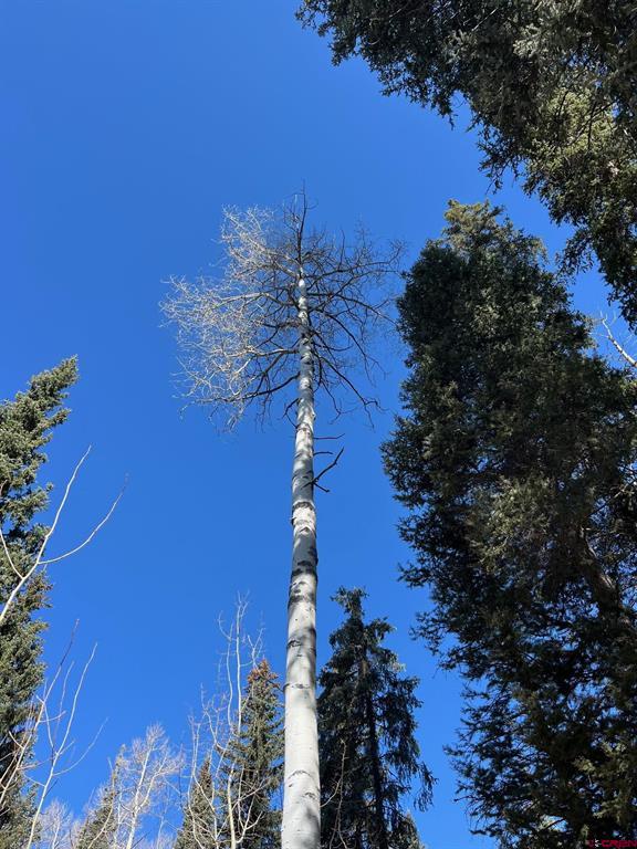 114 & 116 Meadowbrook Park Creede CO 81130
