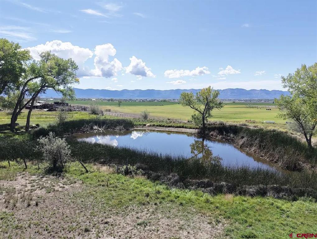 26506 Road N Cortez CO 81321