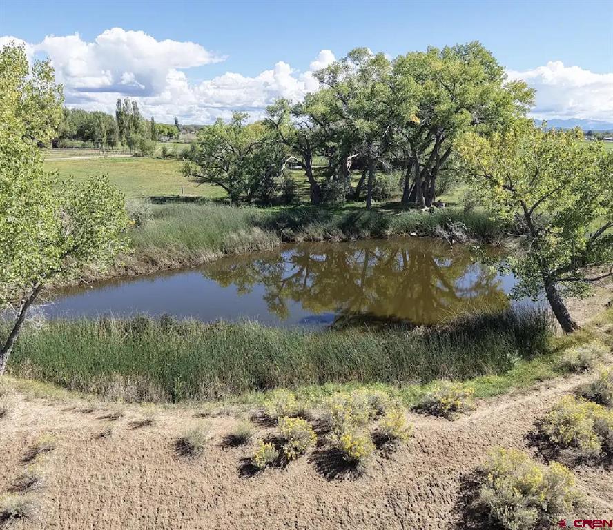 26506 Road N Cortez CO 81321