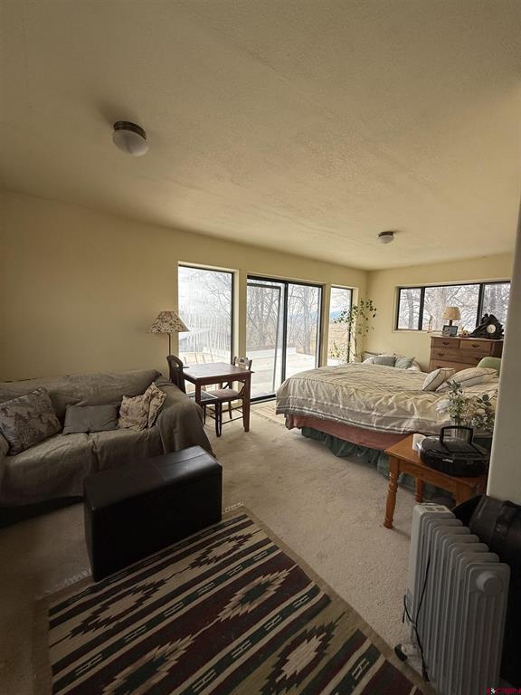 26506 Road N Cortez CO 81321