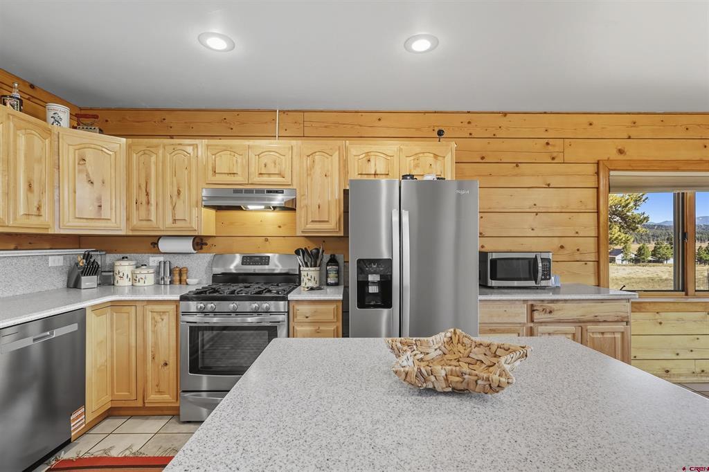 291 Buck Drive Pagosa Springs CO 81147