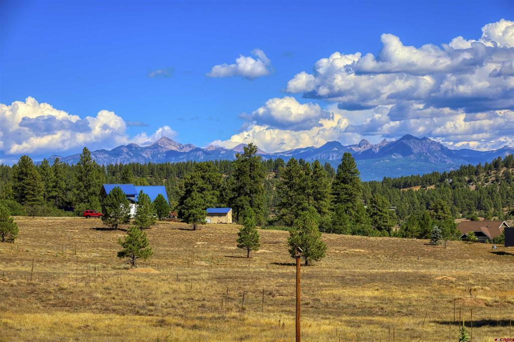 291 Buck Drive Pagosa Springs CO 81147