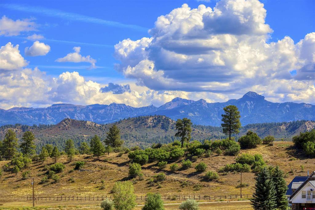 291 Buck Drive Pagosa Springs CO 81147