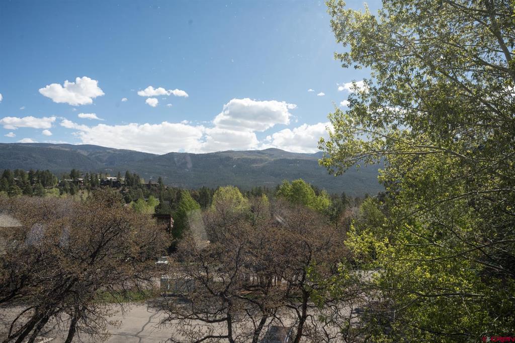 365 S Tamarron Drive Durango CO 81301
