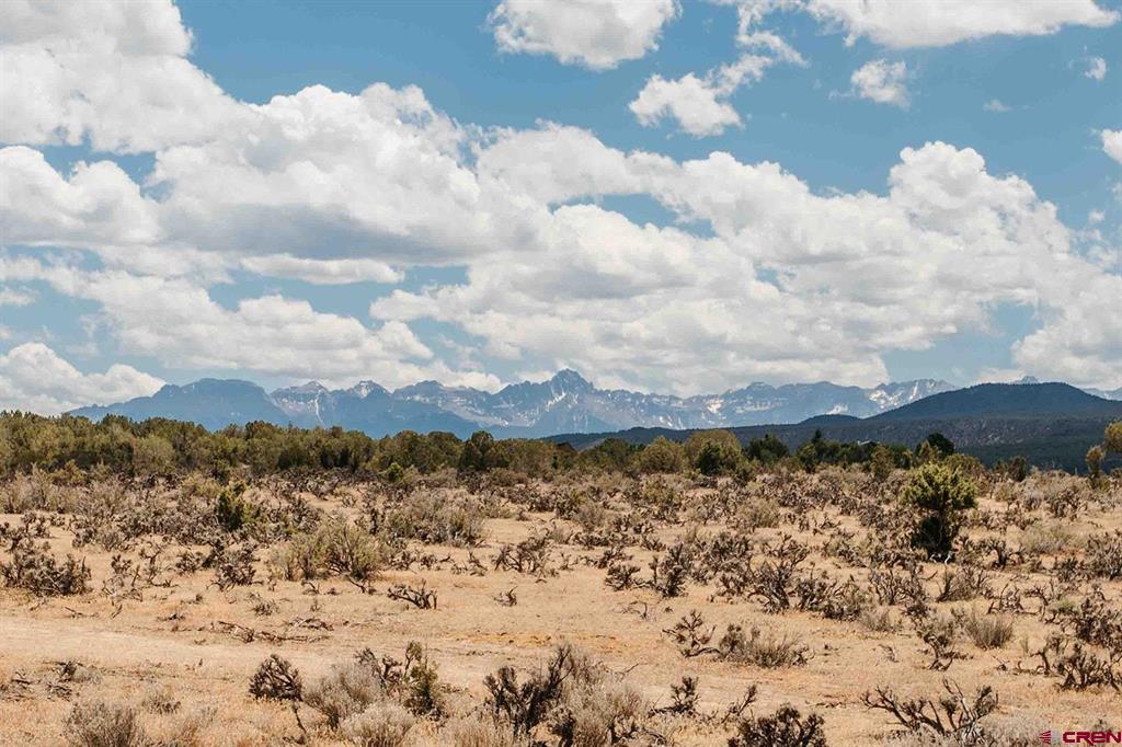 70746 Buckhorn Road Montrose CO 81403