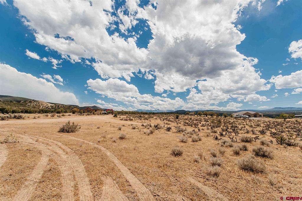 70746 Buckhorn Road Montrose CO 81403
