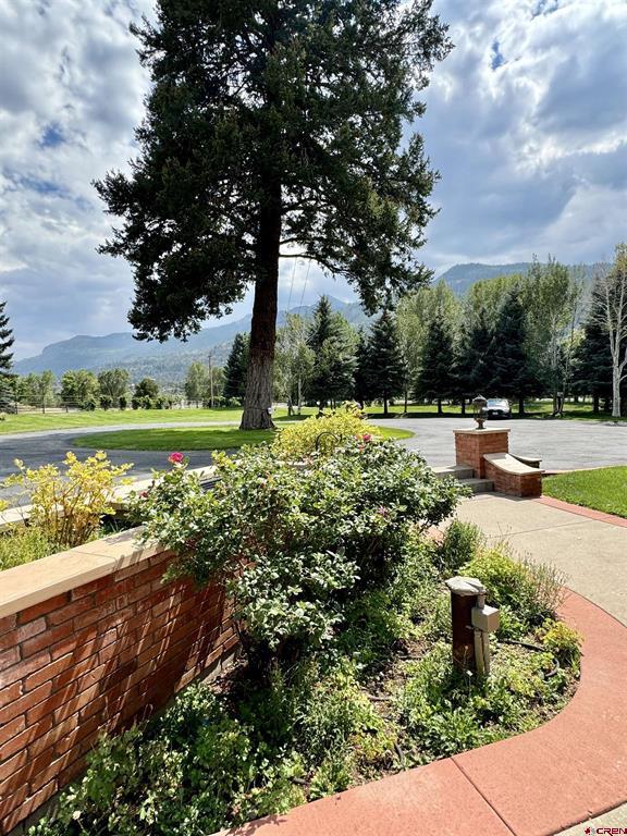 14 Citadel Drive Ridgway CO 81432