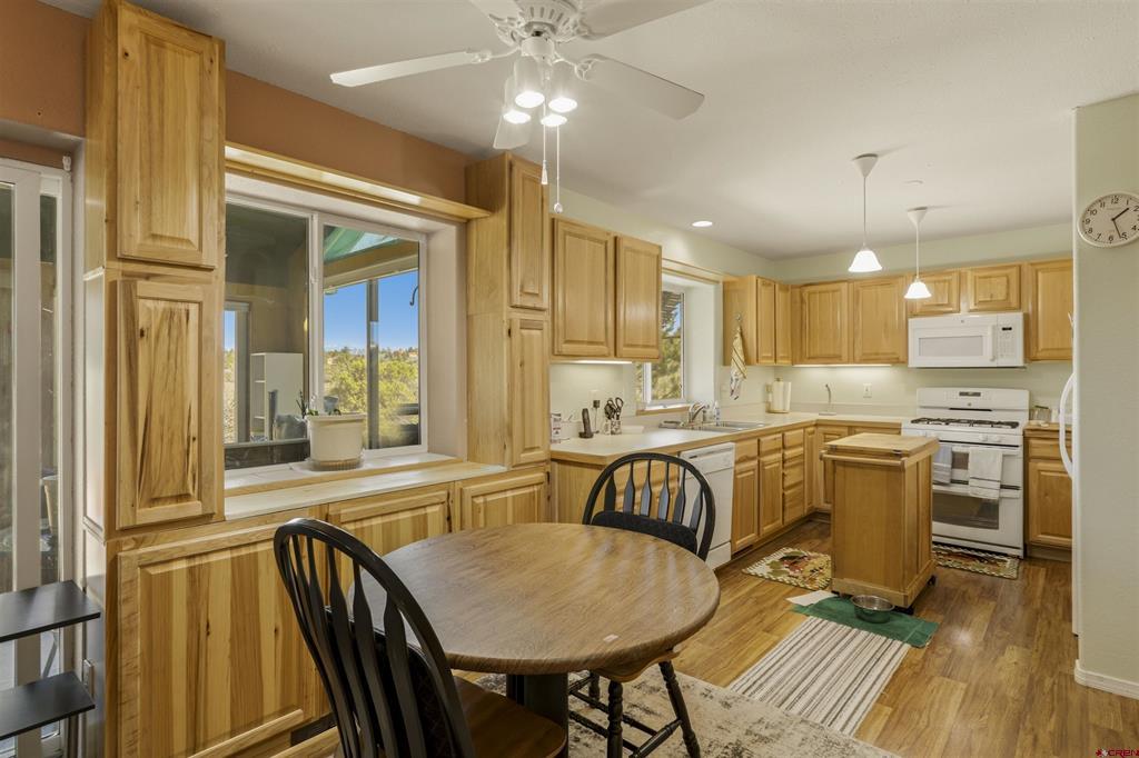218 Shadow Place Pagosa Springs CO 81147