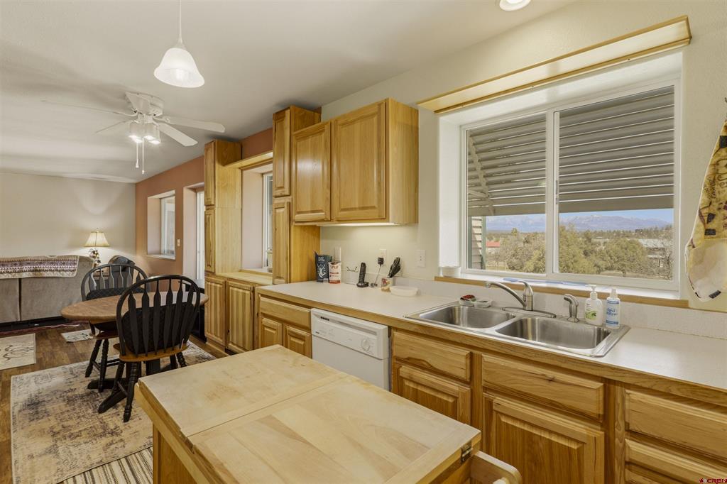 218 Shadow Place Pagosa Springs CO 81147