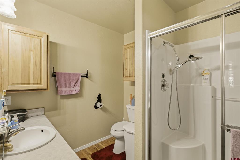 218 Shadow Place Pagosa Springs CO 81147