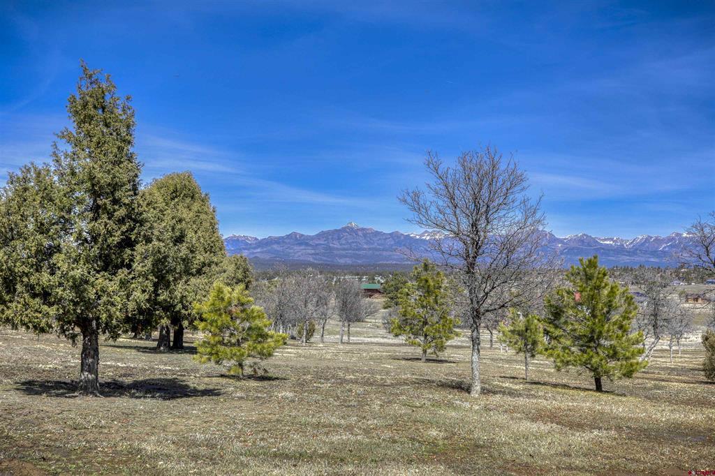218 Shadow Place Pagosa Springs CO 81147