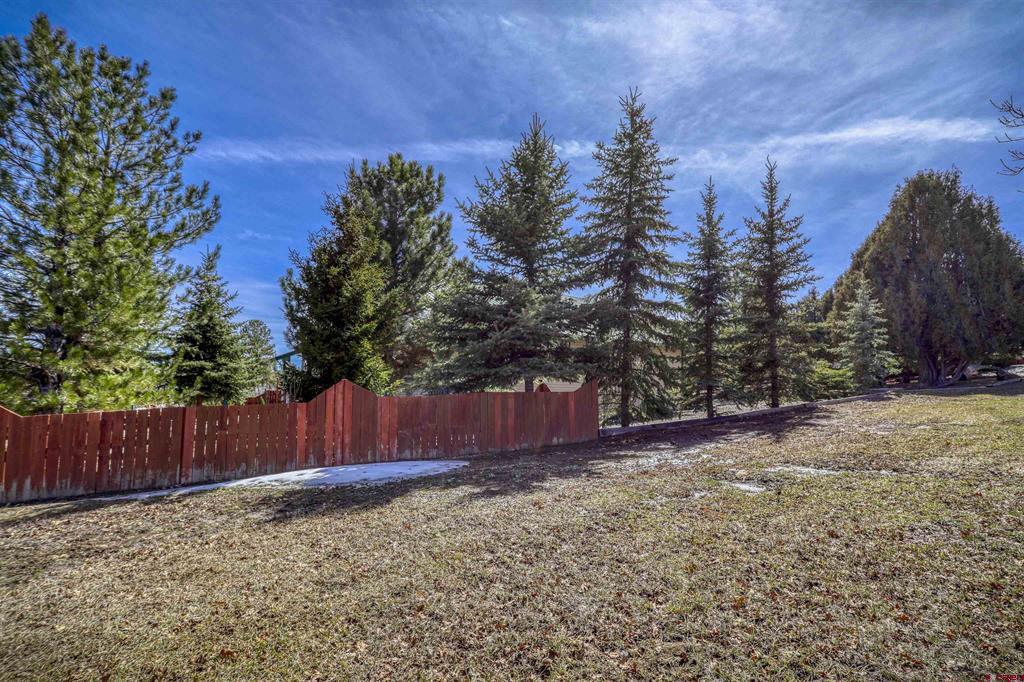 218 Shadow Place Pagosa Springs CO 81147