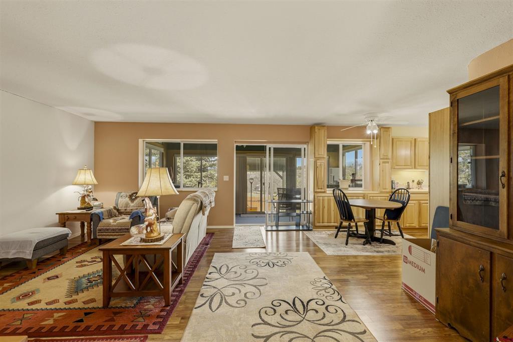 218 Shadow Place Pagosa Springs CO 81147