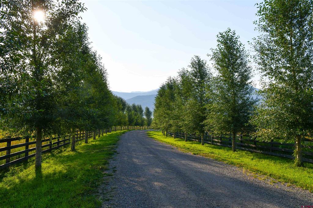 6154 County Road 23 Ridgway CO 81432