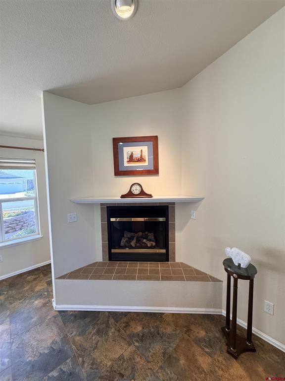 1669 Wetterhorn Drive Montrose CO 81401