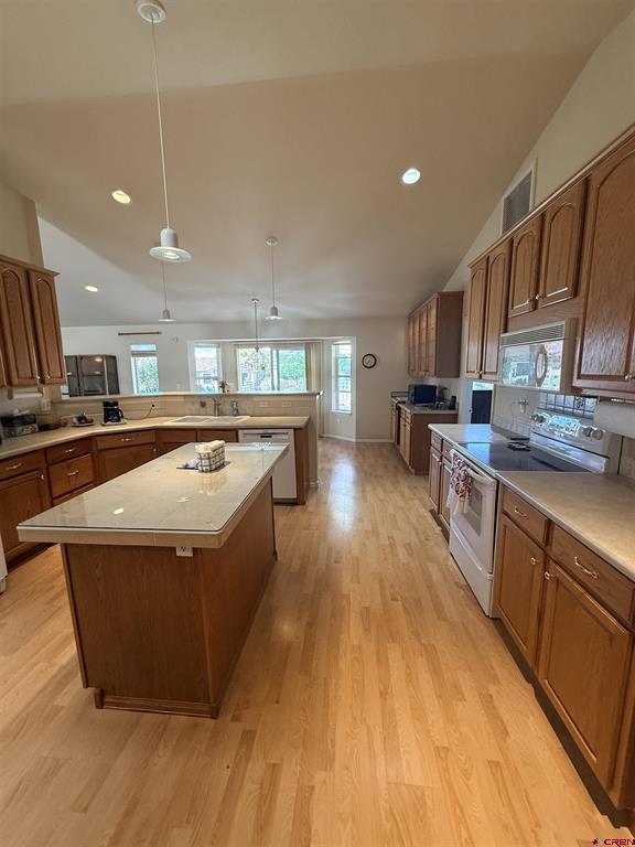 1669 Wetterhorn Drive Montrose CO 81401